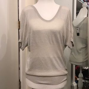 NWT delicate silver short sleeve sweater